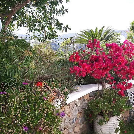 Casa Acqua Marina Appartamento Ponza
